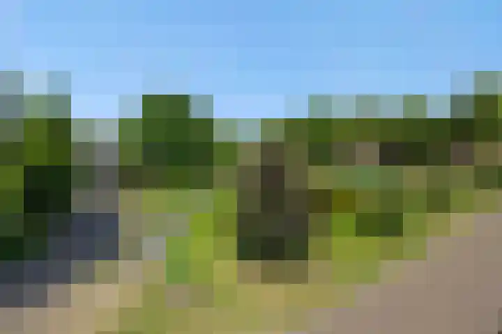 De Wiel 1 Geffen thumbnail 51
