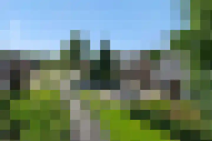 De Wiel 1 Geffen thumbnail 53