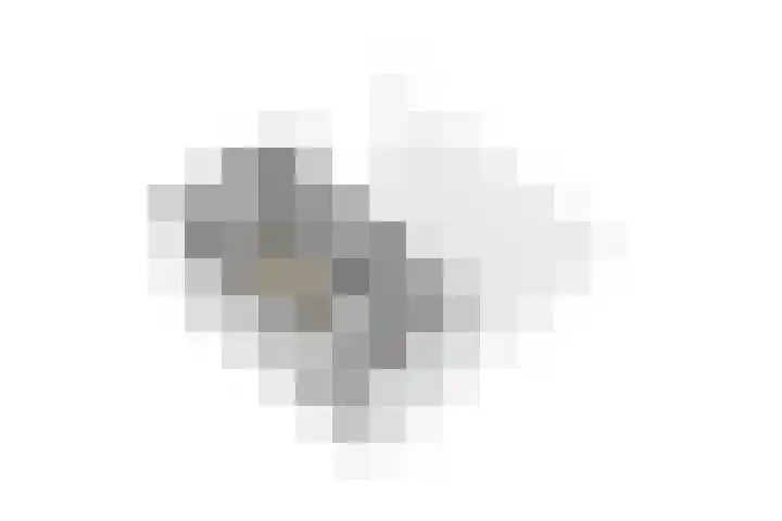 De Wieldam 17 Rosmalen thumbnail 34