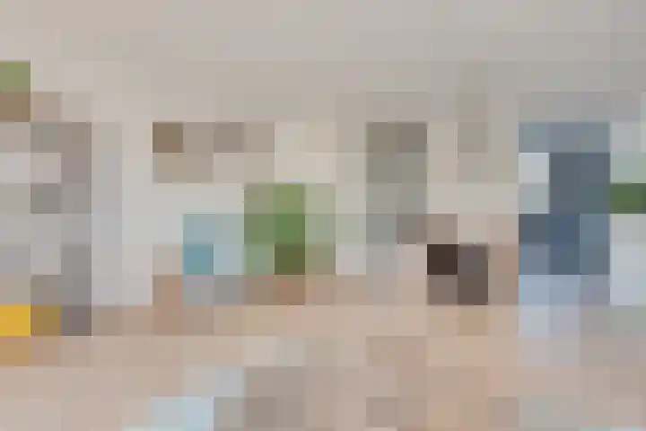 De Wieldam 17 Rosmalen thumbnail 6