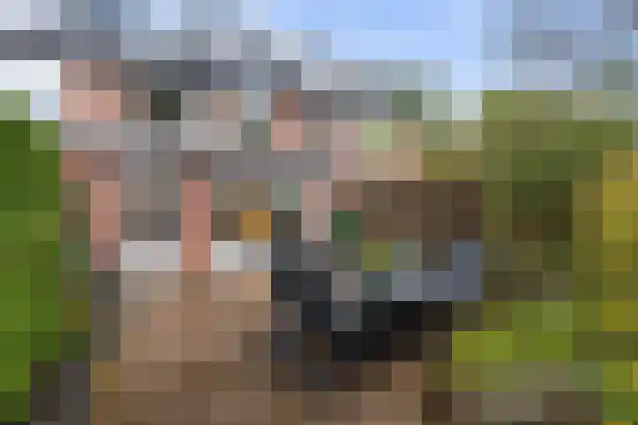 De Wierse 35 Ugchelen