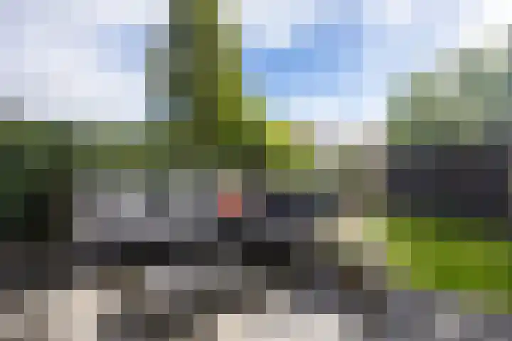 De Wiese 29 Schalkwijk thumbnail 17