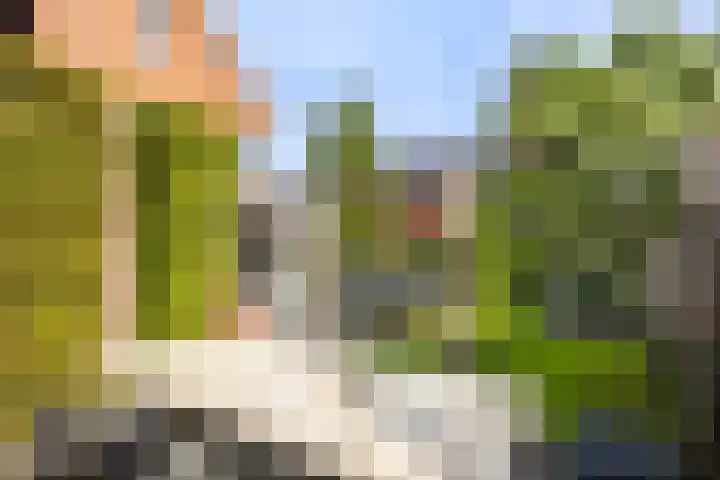 De Wiese 29 Schalkwijk thumbnail 20