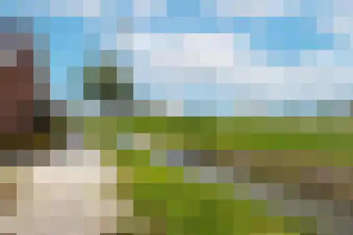 De Wiese 29 Schalkwijk thumbnail 41