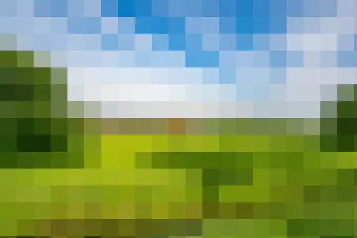 De Wiese 29 Schalkwijk thumbnail 42