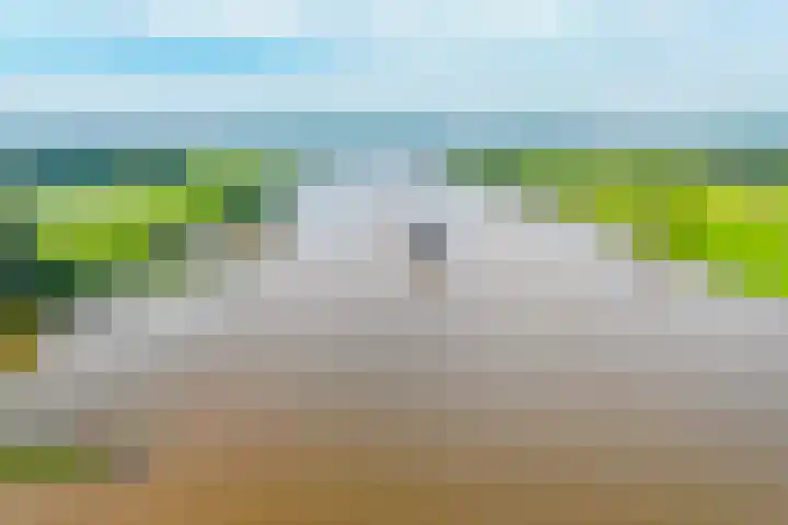 De Wiese 29 Schalkwijk thumbnail 44