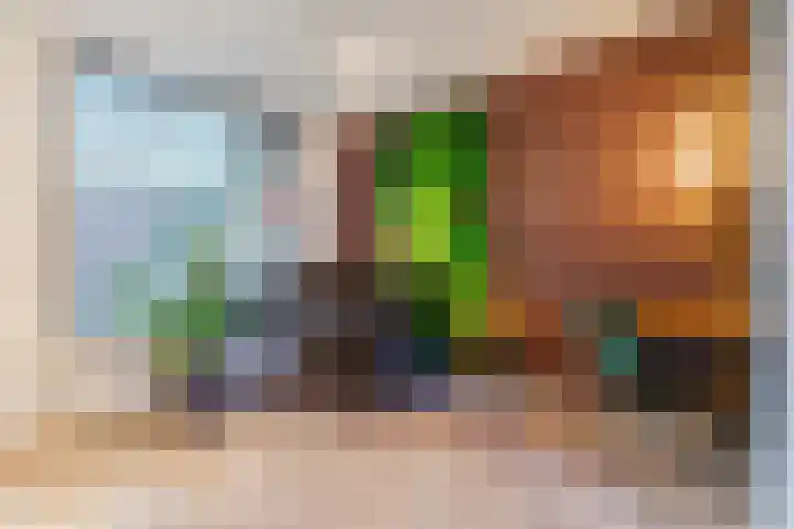 De Wiet 13 Soerendonk thumbnail 10