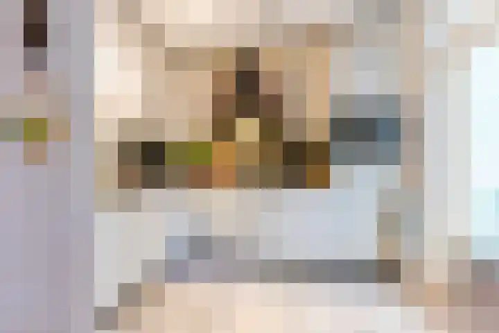 De Wiet 13 Soerendonk thumbnail 11