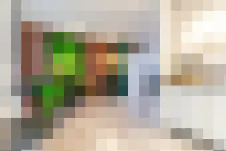 De Wiet 13 Soerendonk thumbnail 12