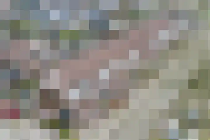 De Wiet 13 Soerendonk thumbnail 4