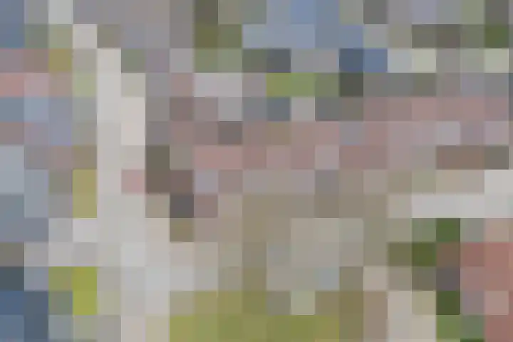 De Wiet 13 Soerendonk thumbnail 42