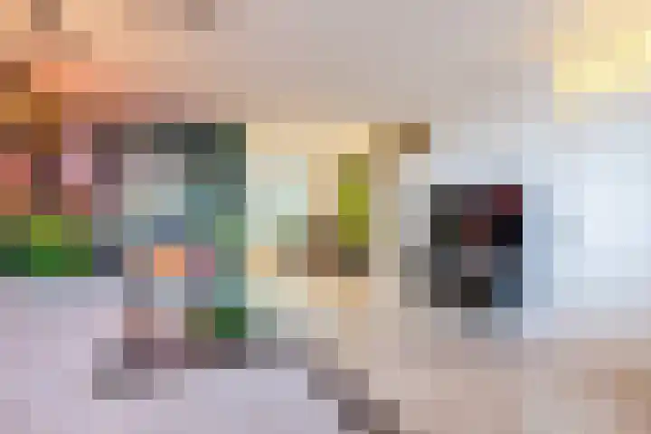 De Wiet 13 Soerendonk thumbnail 5