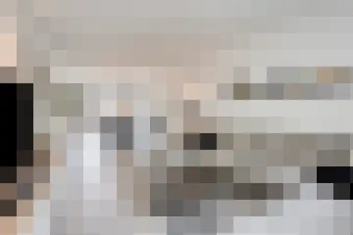 De Wildestraat 8 Oss thumbnail 10