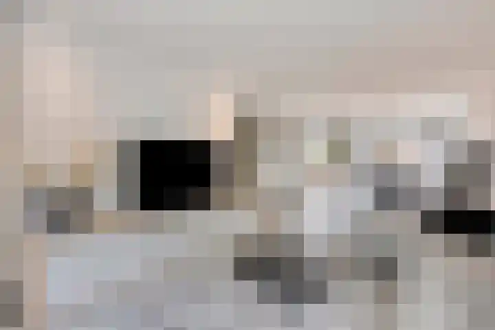 De Wildestraat 8 Oss thumbnail 11