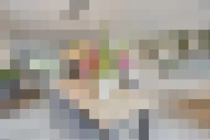 De Wildestraat 8 Oss thumbnail 13