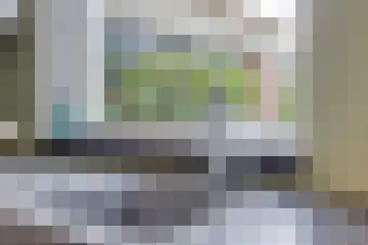 De Wildestraat 8 Oss thumbnail 16
