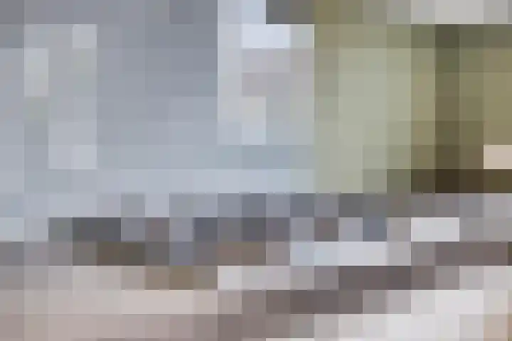 De Wildestraat 8 Oss thumbnail 17