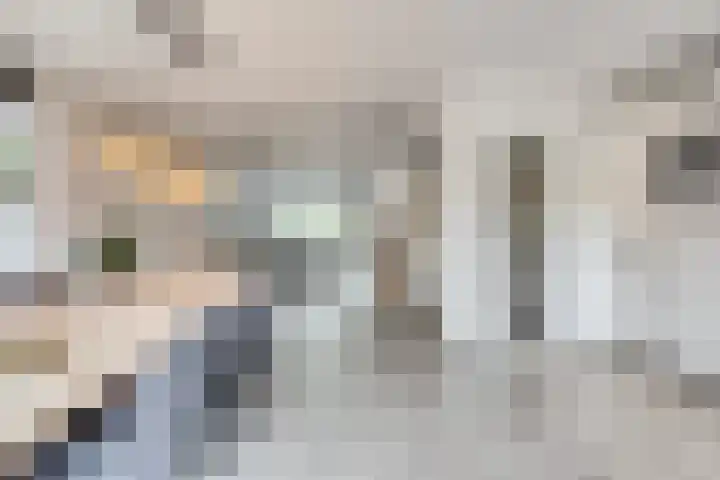 De Wildestraat 8 Oss thumbnail 18