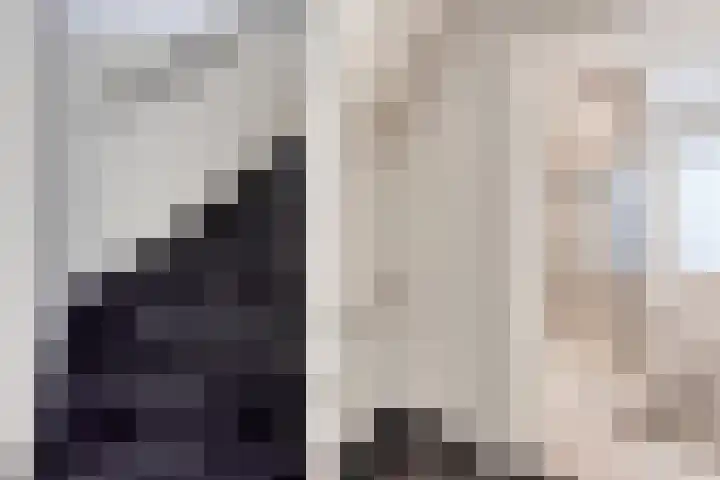 De Wildestraat 8 Oss thumbnail 19