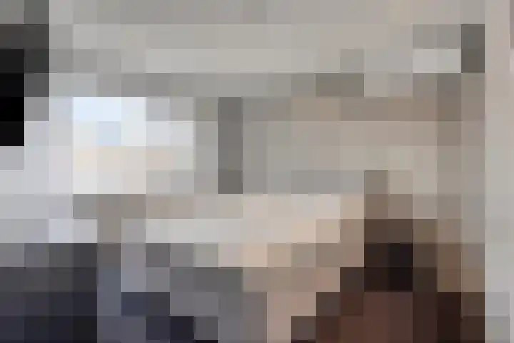 De Wildestraat 8 Oss thumbnail 20