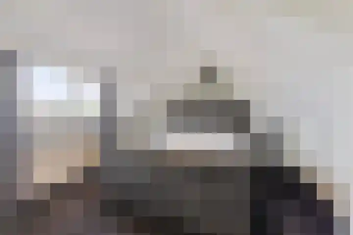 De Wildestraat 8 Oss thumbnail 29
