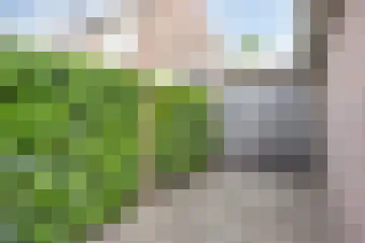 De Wildestraat 8 Oss thumbnail 34