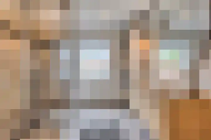 De Wildestraat 8 Oss thumbnail 4