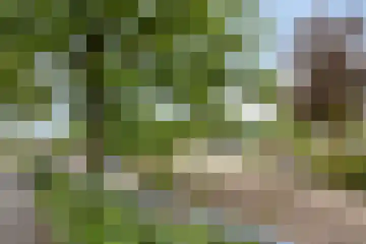 De Wildestraat 8 Oss thumbnail 43