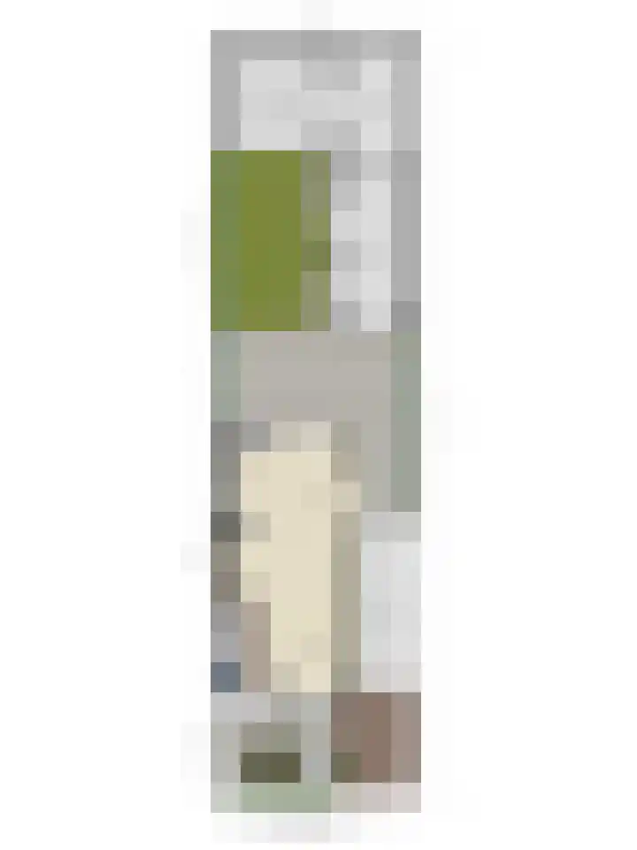 De Wildestraat 8 Oss thumbnail 44