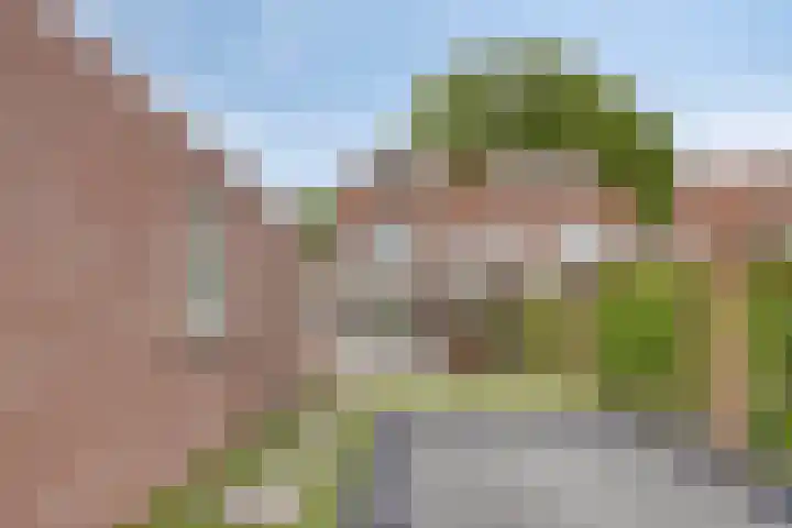 De Wildestraat 8 Oss thumbnail 5