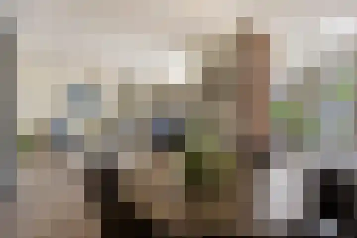 de Wildkamp 17 Epe thumbnail 15