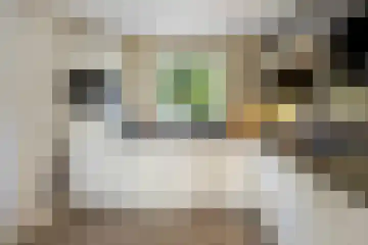 de Wildkamp 17 Epe thumbnail 19