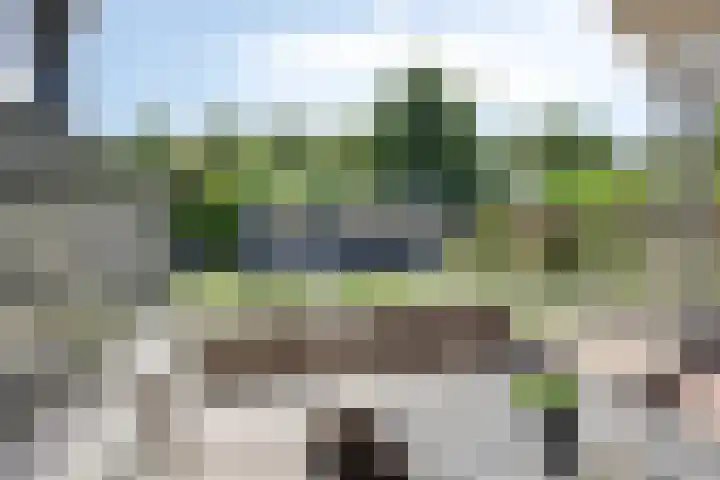 de Wildkamp 17 Epe thumbnail 34