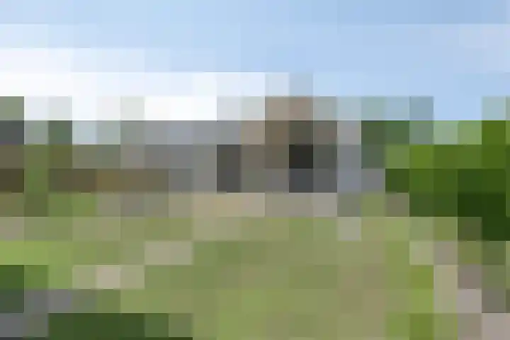 de Wildkamp 17 Epe thumbnail 35