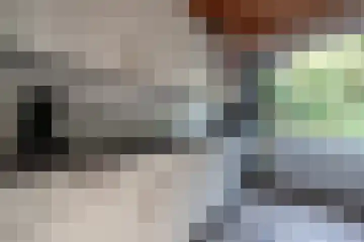 de Wildkamp 28 Epe thumbnail 13