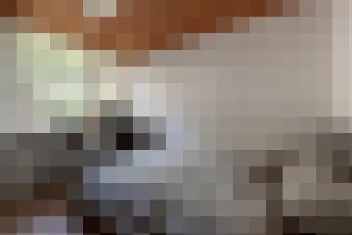 de Wildkamp 28 Epe thumbnail 17