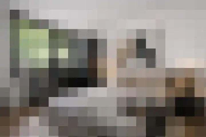 de Wildkamp 28 Epe thumbnail 18