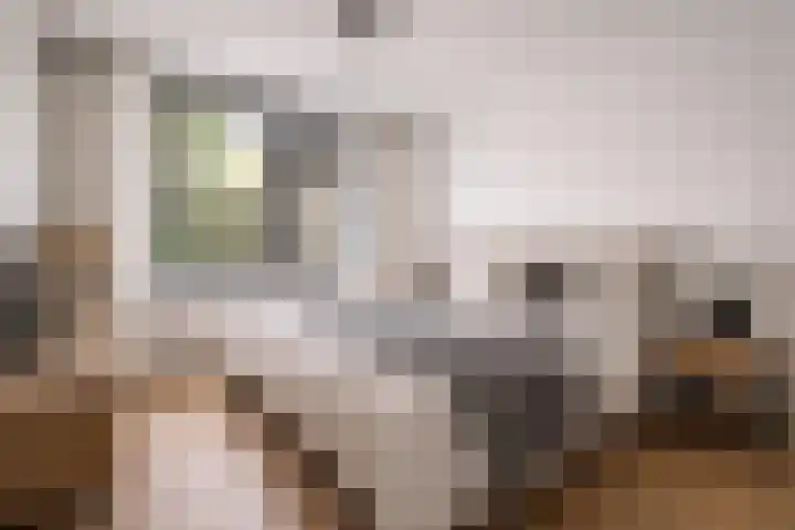 de Wildkamp 28 Epe thumbnail 20