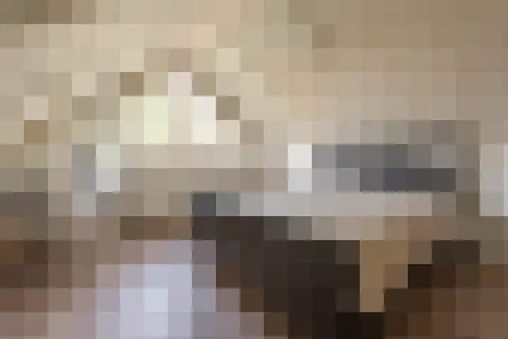 de Wildkamp 28 Epe thumbnail 23