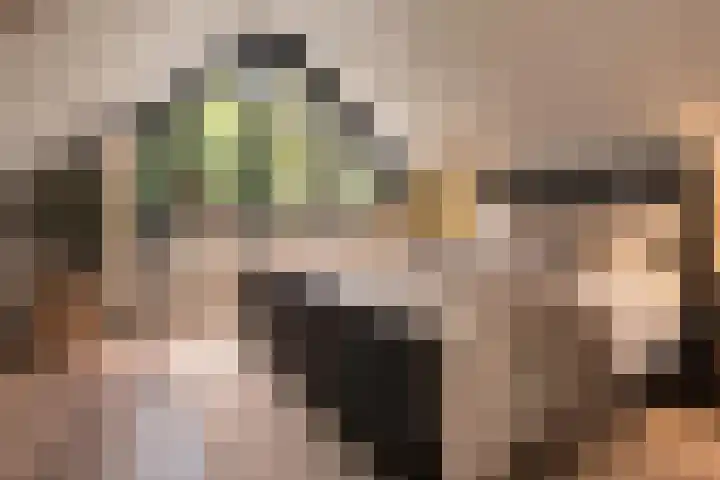 de Wildkamp 28 Epe thumbnail 24