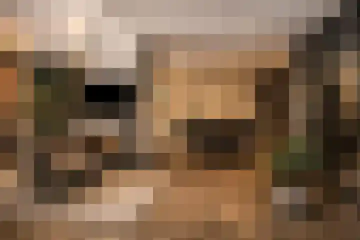 de Wildkamp 28 Epe thumbnail 25