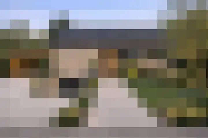 de Wildkamp 28 Epe thumbnail 4