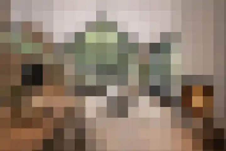 de Wildkamp 28 Epe thumbnail 6