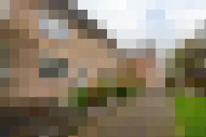 de Wilg 45 Hoogerheide thumbnail 39