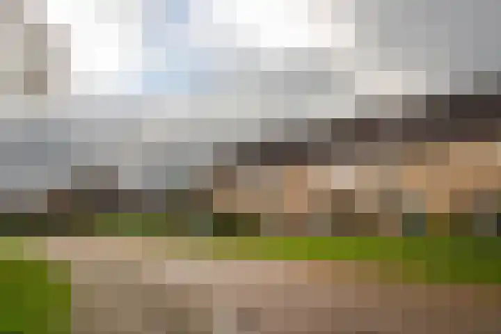 de Wilg 45 Hoogerheide thumbnail 42