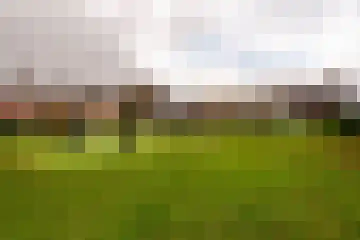 de Wilg 45 Hoogerheide thumbnail 45