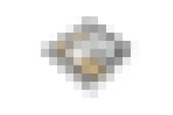de Wilg 45 Hoogerheide thumbnail 52