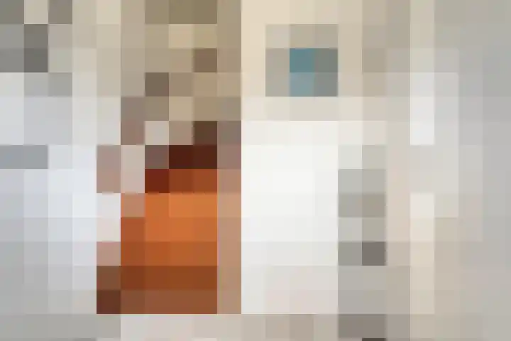 De Wilgen 3 Boekel thumbnail 10