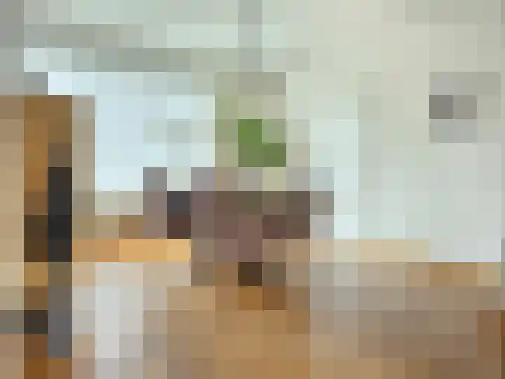 De Wilgen 3 Boekel thumbnail 15