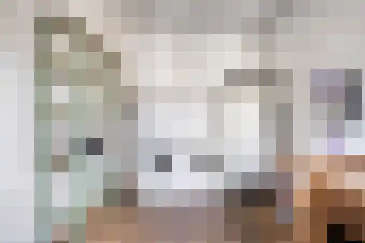 De Wilgen 3 Boekel thumbnail 23